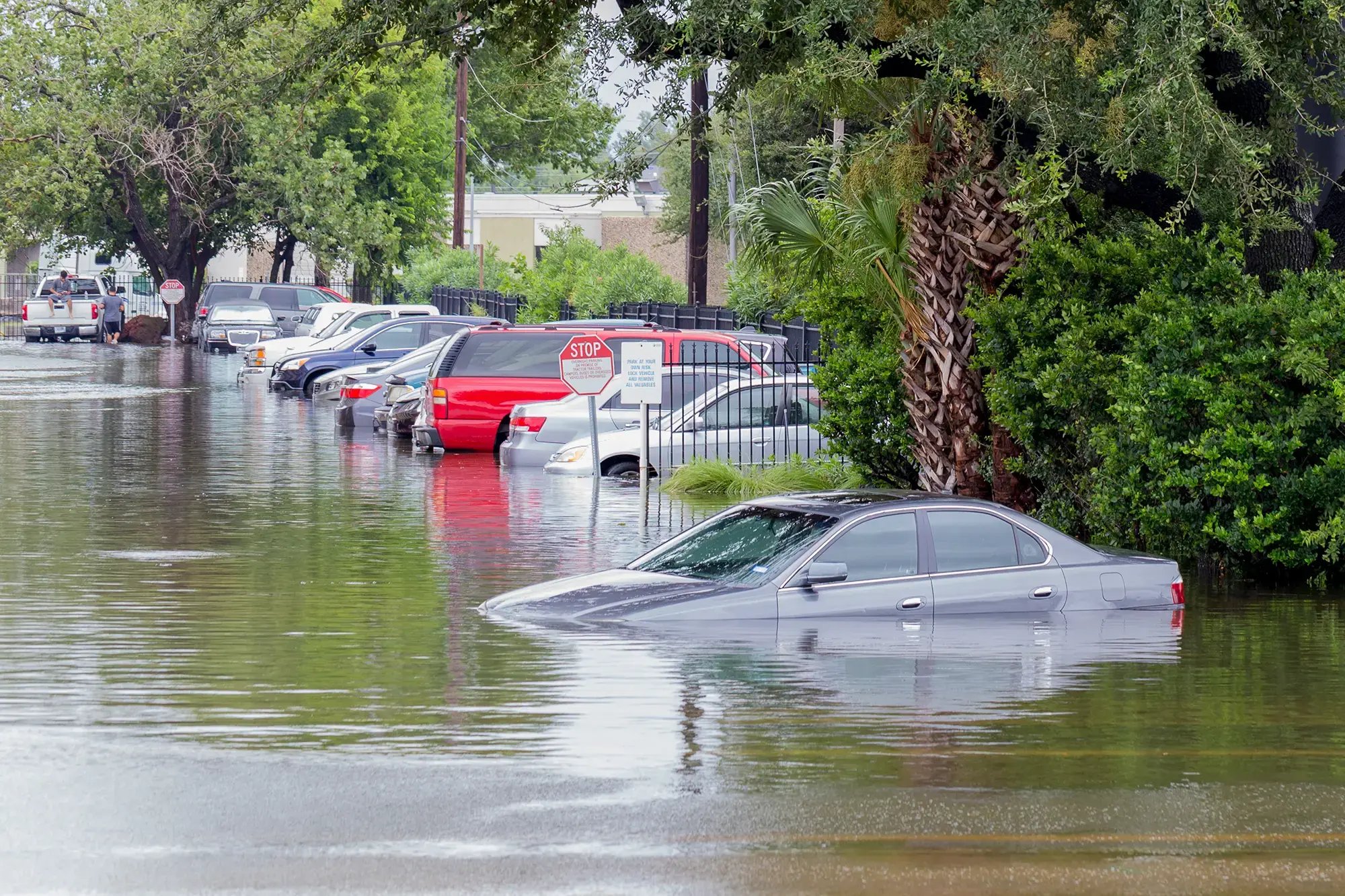 flooded-road-vehicles